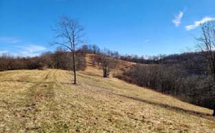 Pictures of Retail, Land property located at 1931 St Leo Rd, Wana, WV 26590 for sales - image #1