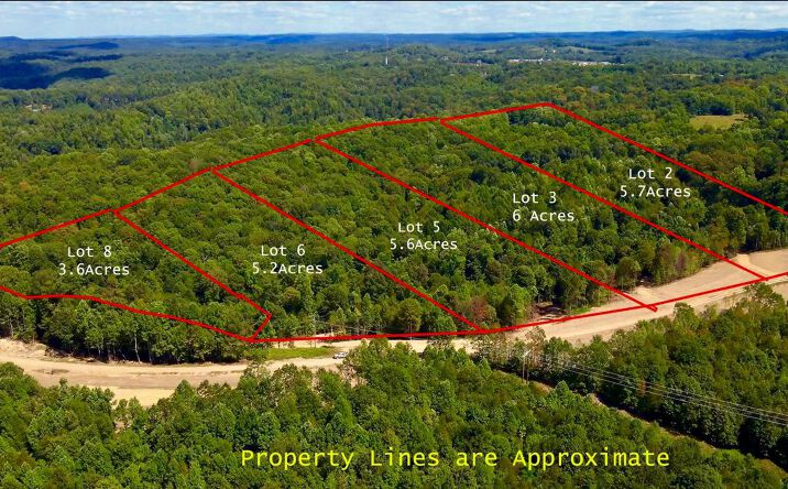 Pictures of Land property located at Lot 2 Gauley Ridge Road, Mount Nebo, WV 26679 for sales - image #1