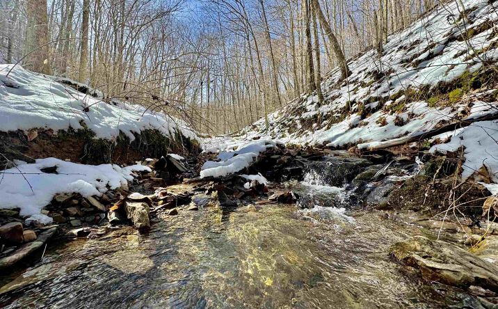 Pictures of Land property located at 0 Mcatee Drive, Huttonsville, WV 26273 for sales - image #1