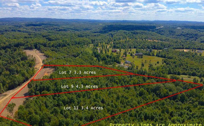 Pictures of Land property located at Lot 11 Gauley Ridge Road, Mount Nebo, WV 26679 for sales - image #1