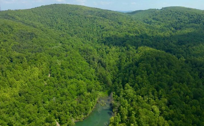 Pictures of Land property located at 4967 Rich Mountain Road, Mabie, WV 26278 for sales - image #1