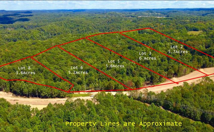 Pictures of Land property located at Lot 5 Gauley Ridge Road, Mount Nebo, WV 26679 for sales - image #1