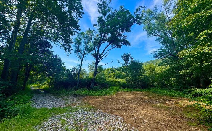 Pictures of Land property located at Route 72, Parsons, WV 26287 for sales - image #1