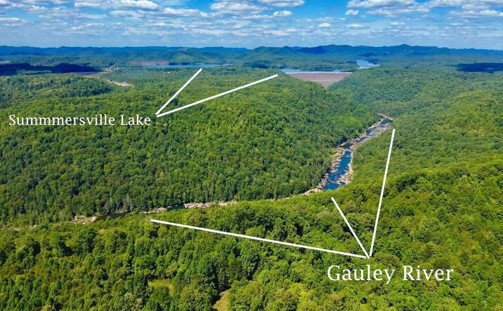 Pictures of Land property located at Lot 1 Gauley Ridge Road, Mount Nebo, WV 26679 for sales - image #1