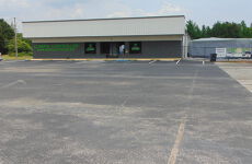 29429629