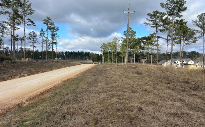 Pictures of Land property located at TBD 7 Red Lowe Rd, Livingston, TX 77351 for sales - image #1