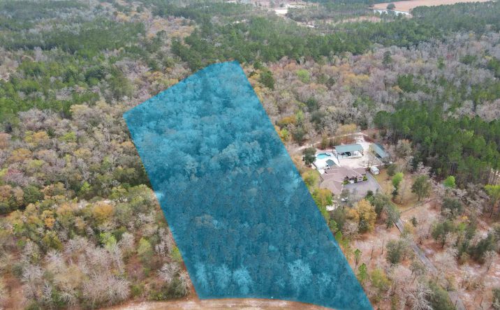 Pictures of Land property located at 15436 Bullock Bluff Rd, Bryceville, FL 32009 for sales - image #1