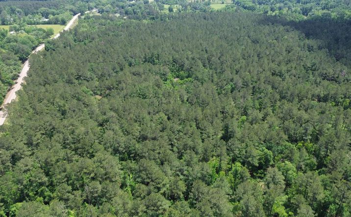 Pictures of Land property located at Tbd La Hwy 1039, Holden, LA 70744 for sales - image #1