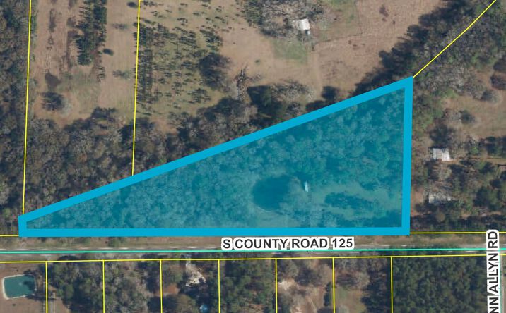 Pictures of Land property located at TBD CR 125 S, Macclenny, FL 32063 for sales - image #1