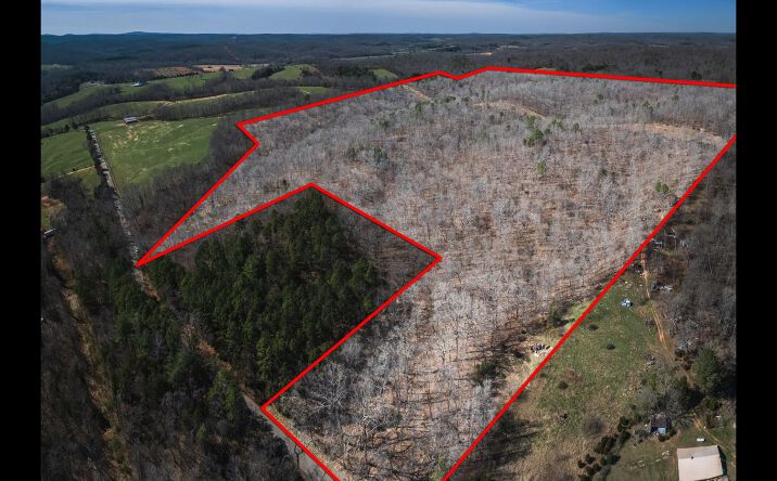 Pictures of Land property located at 000 Madison 244/County Road 224, Fredericktown, MO 63645 for sales - image #1