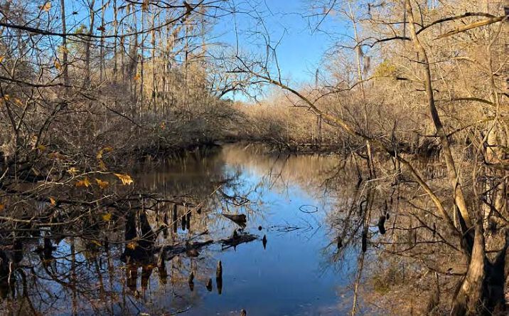 Pictures of Land property located at Repose Drive, Orangeburg, SC 29432 for sales - image #1