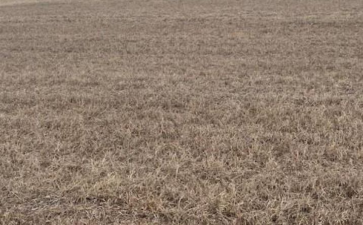 Pictures of Land, Special Purpose, Multifamily property located at 243rd Street, McLouth, KS 66054 for sales - image #1