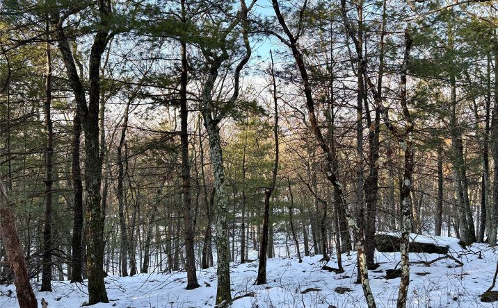 Pictures of Land property located at Route 28A, Hurley, NY 12443 for sales - image #1