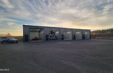 29436841