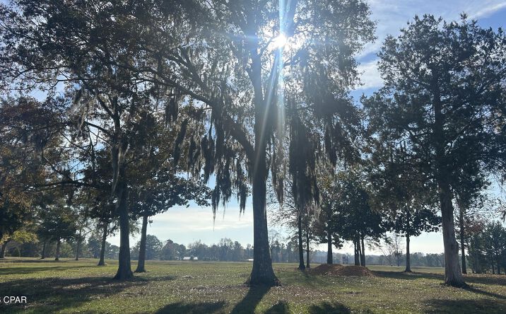 Pictures of Land property located at SR-85 Lake, Laurel Hill, FL 32567 for sales - image #1
