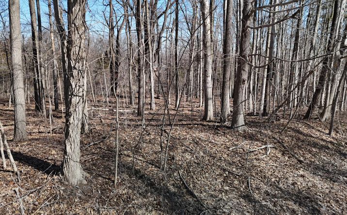 Pictures of Land, Special Purpose property located at Willow Rd, Saline, MI 48176 for sales - image #1
