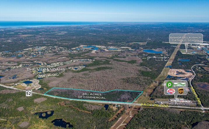 Pictures of Land property located at State Rd 52, undefined, FL 34669 for sales - image #1