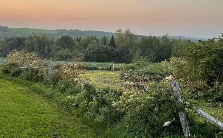 Pictures of Land property located at M8-L16 Grendell Road, Chapman, ME 04757 for sales - image #1