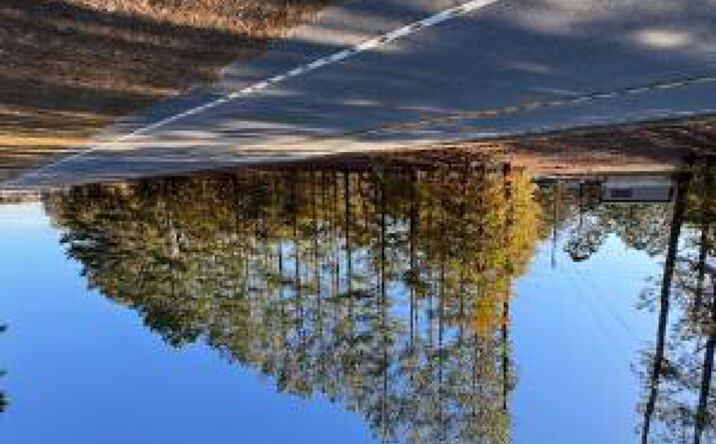 Pictures of Special Purpose property located at 6391 Us-278, Barnwell, SC 29812 for sales - image #1