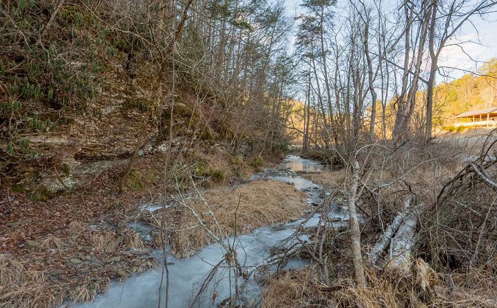 Pictures of Land, Multifamily property located at TBD Kimberling Rd., Bland, VA 24315 for sales - image #1