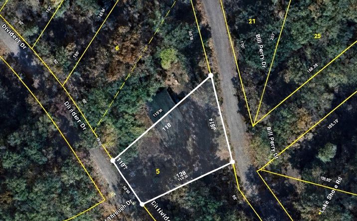 Pictures of Land property located at Bill Perry Dr, Sugar Tree, TN 38380 for sales - image #1