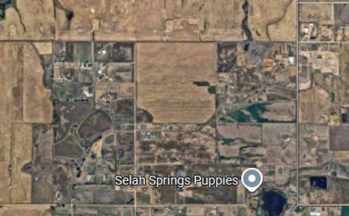 Pictures of Land property located at Co Rd 17, Dacono, CO 80514 for sales - image #1