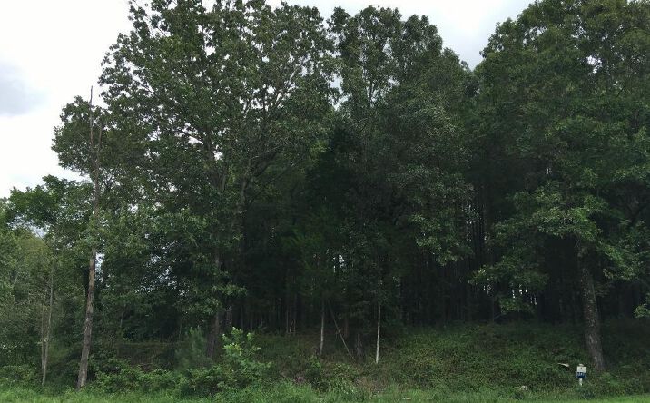 Pictures of Land property located at 00 Parrish Ridge Lot 287 Goreville, Goreville, IL 62924 for sales - image #1