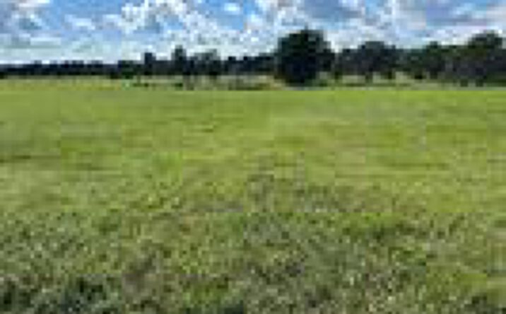 Pictures of Land property located at 21127 S 590 Rd, Welling, OK 74471 for sales - image #1