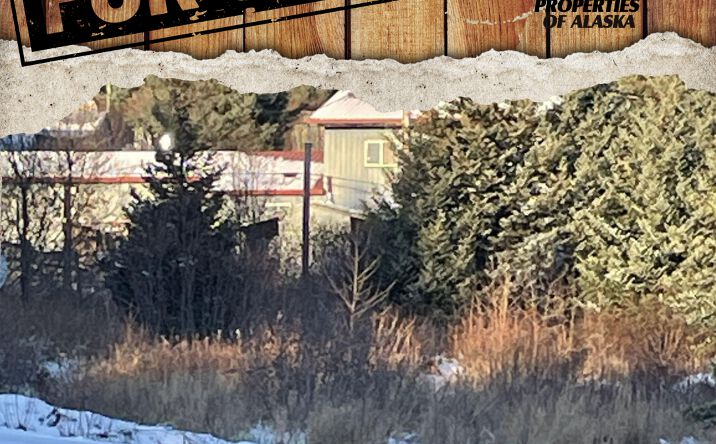 Pictures of Land property located at 202 Spruce Dr, Port Lions, AK 99550 for sales - image #1