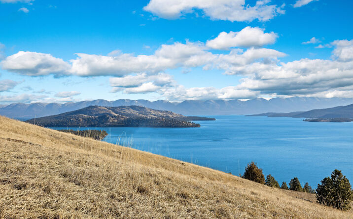 Pictures of Land property located at 43830 Buffalo Road, Dayton, MT 59914 for sales - image #1
