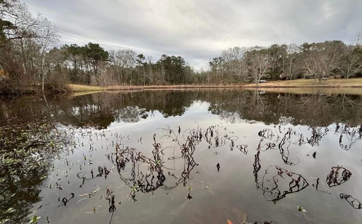 Pictures of Land property located at Lower Myrick Road, 69944, MS 39443 for sales - image #1