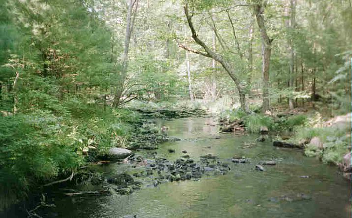 Pictures of Land, Special Purpose property located at Lot 59.2 Lower Lumber Road, Lumberland, NY 12737 for sales - image #1
