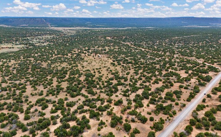 Pictures of Land property located at 33 County Road B31A, Ribera, NM 87560 for sales - image #1
