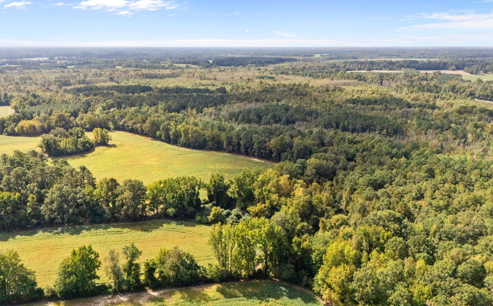 Pictures of Land property located at Schofield Pl, Fork, SC 29543 for sales - image #1