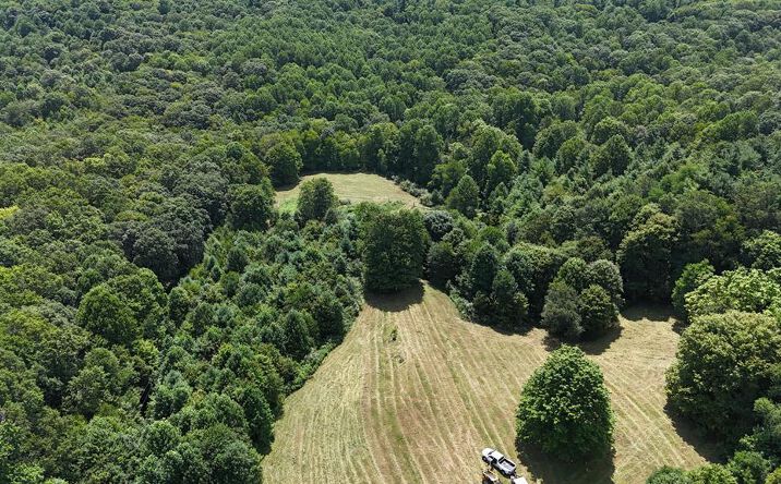 Pictures of Land, Special Purpose property located at Greenfield Lane, Danese, WV 25831 for sales - image #1