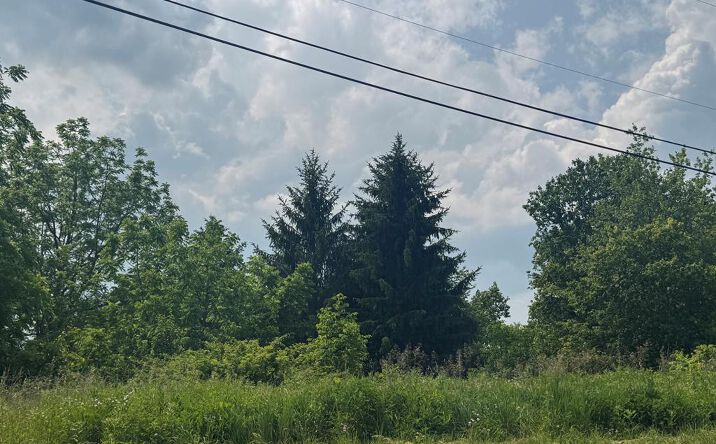 Pictures of Land property located at Oakvale Rd, Princeton, WV 24740 for sales - image #1