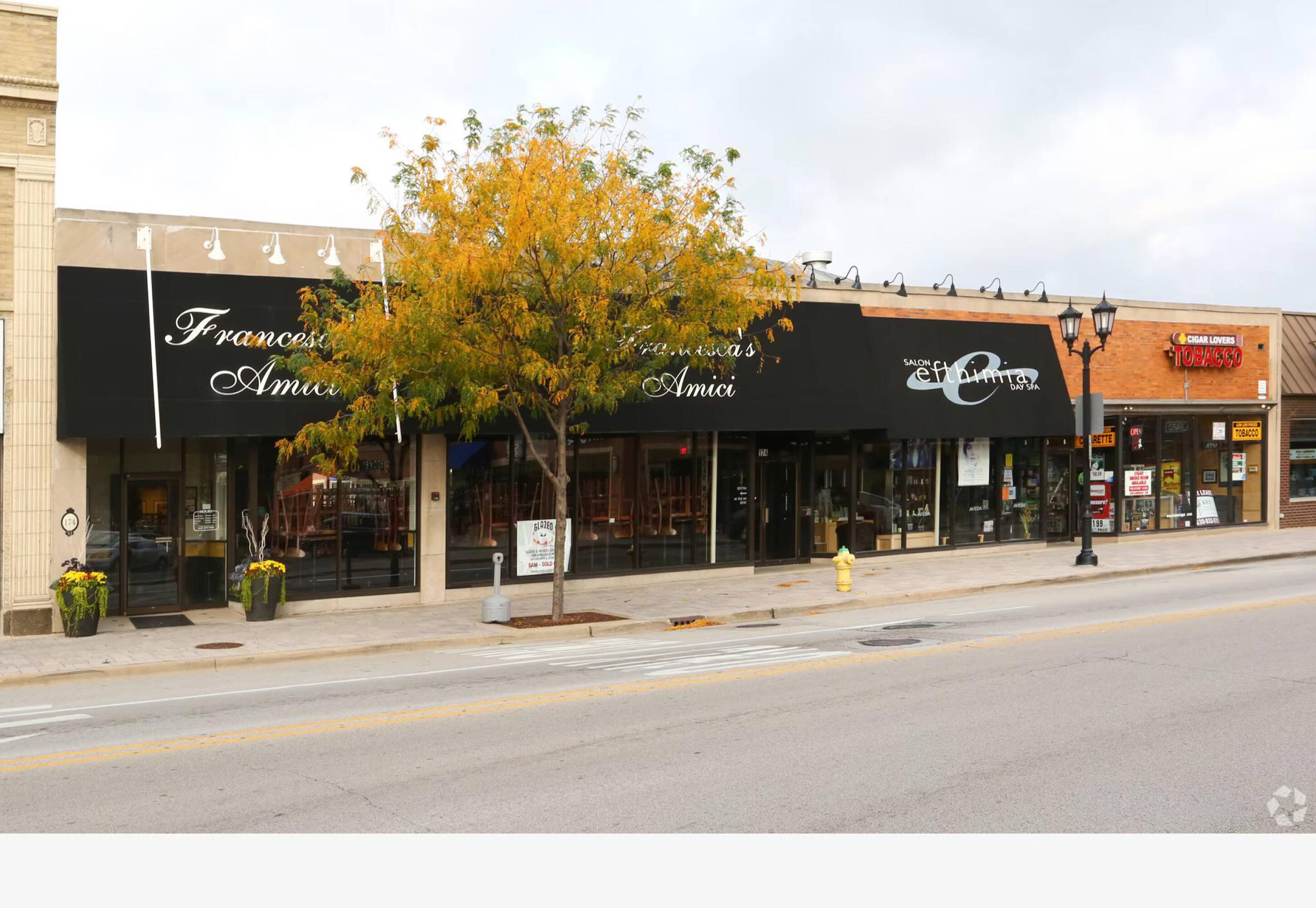 174 N York St, Elmhurst, IL 60126