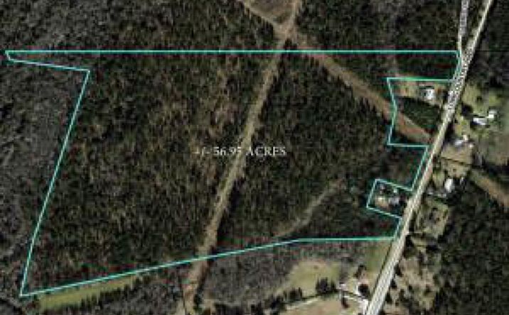 Pictures of Land property located at 0 Lowcountry Highway, Smoaks, SC 29481 for sales - image #1