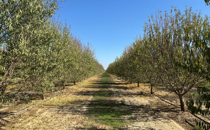 Pictures of Land property located at Scofield Ave, Wasco, CA 93280 for sales - image #1
