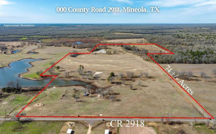 Pictures of Land property located at Co Rd 2918, Mineola, TX 75410 for sales - image #1