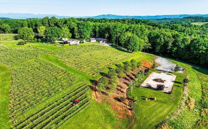 Pictures of Land property located at 4950 Patton Rd Burke, Morganton, NC 28655 for sales - image #1