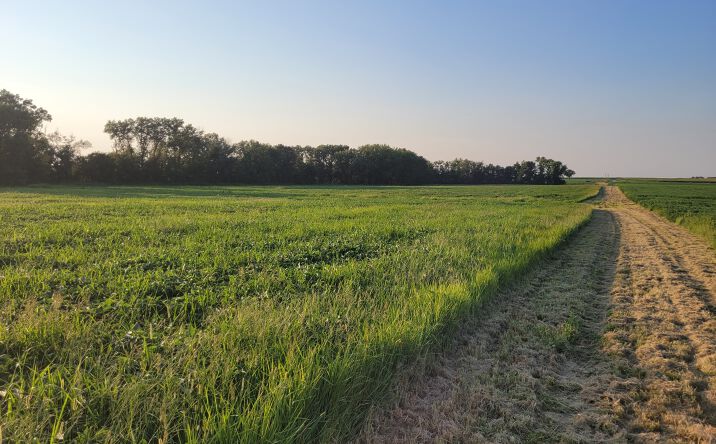 Pictures of Land property located at State Highway DD, Bellflower, Bellflower, MO 63333 for sales - image #1
