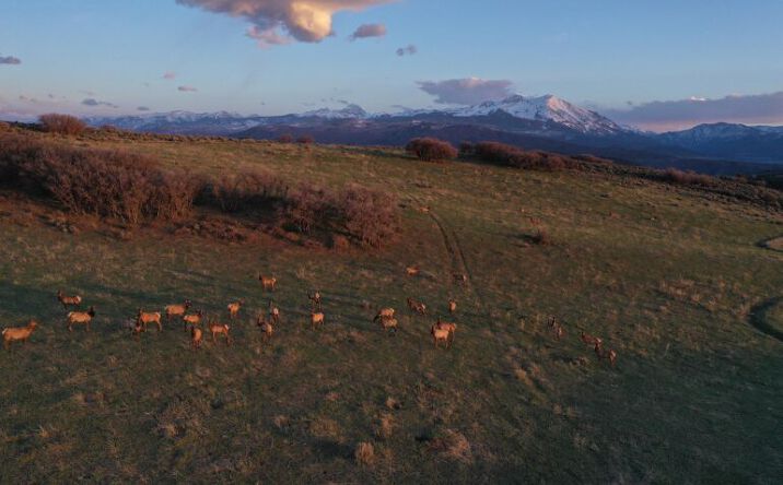 Pictures of Land property located at TBD CR 100, Carbondale, CO 81623 for sales - image #1