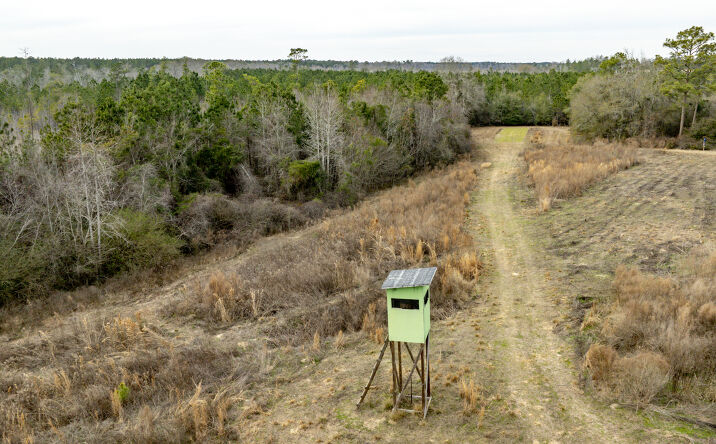 Pictures of Land property located at Garrison Rd, Milan, GA 31060 for sales - image #1