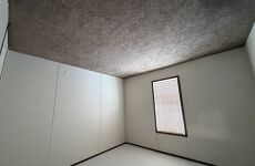 29483174