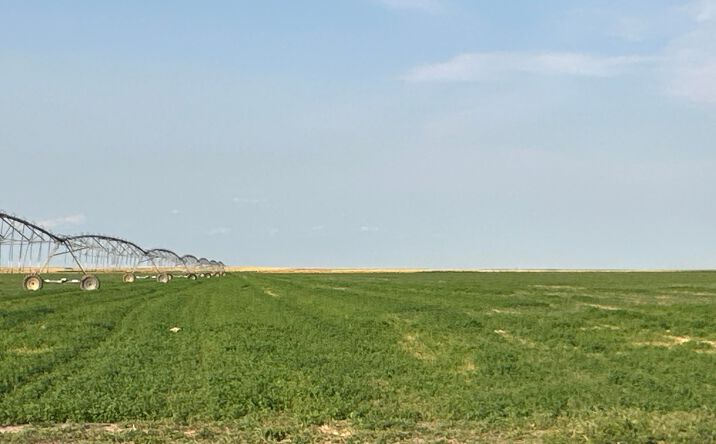 Pictures of Land property located at 10 PP Rd, Seibert, CO 80834 for sales - image #1
