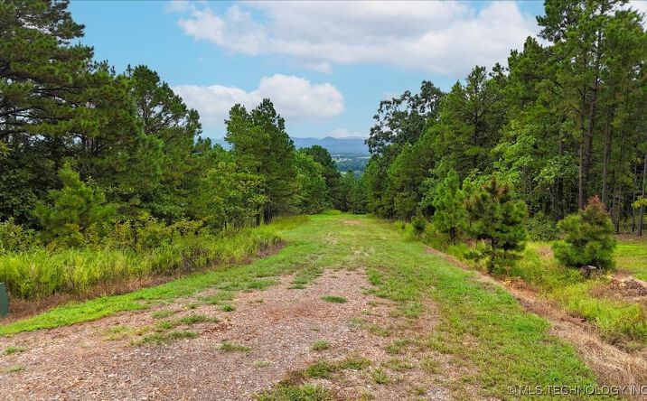 Pictures of Land property located at 1025, Buffalo Valley, OK 74571 for sales - image #1