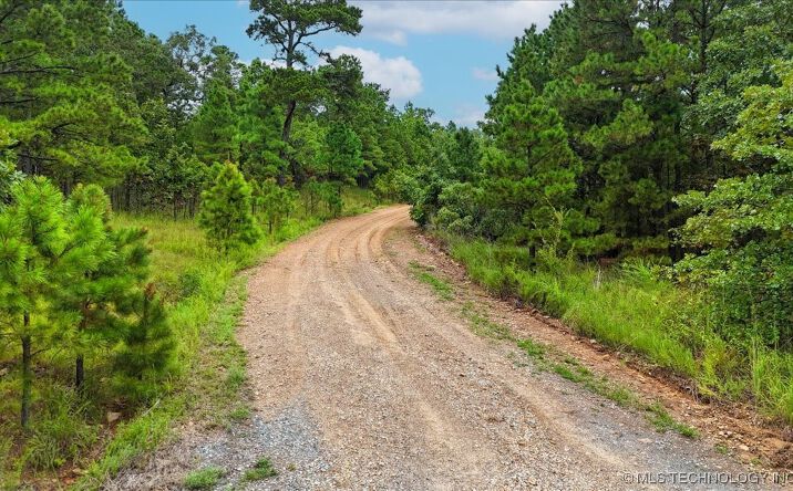 Pictures of Land property located at 1025, Buffalo Valley, OK 74571 for sales - image #1