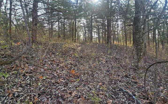 Pictures of Land, Special Purpose property located at W 207th Street, Edgerton, KS 66021 for sales - image #1