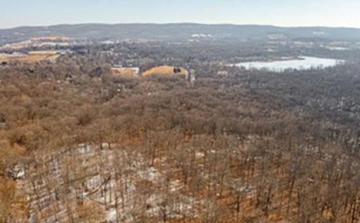 Pictures of Land property located at Beekman Road, Beekman, NY 12533 for sales - image #1